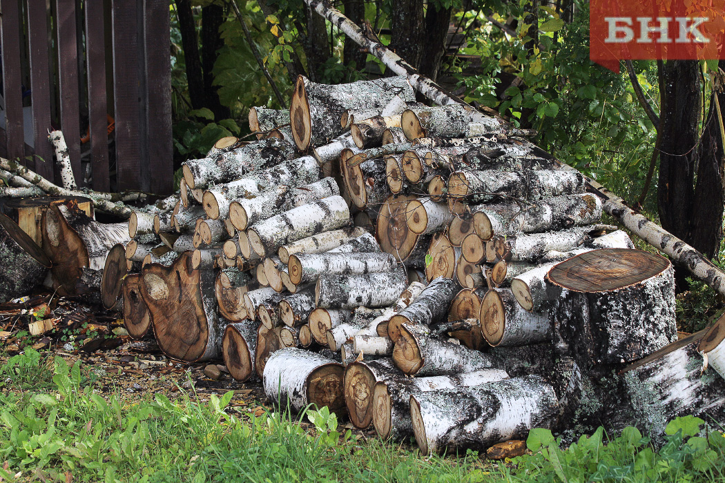В Коми упростят обеспечение жителей отдаленных поселений дровами