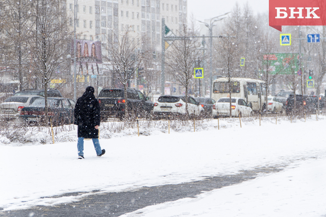 Синоптики прогнозируют морозную и снежную неделю в Коми